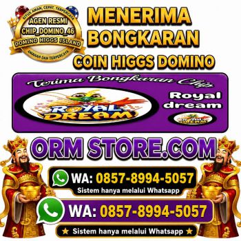 Terima bongkar chip Higgs domino island aman dan terpercaya