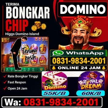 TERIMA BONGKAR CHIP HDI HIGGS DOMINO ISLAND JUAL BELI CHIP HDI WA 083198342001