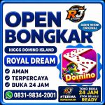 thumbnail-terima-bongkar-chip-hdi-higgs-domino-island-dan-royal-dream-wa-0831-9834-2001-0