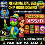thumbnail-khusus-terima-bongkar-chip-domino-island-higgs-buka-24jam-wa0831-9834-2001-0