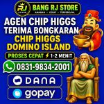 thumbnail-khusus-terima-bongkar-chip-domino-island-higgs-buka-24jam-wa0831-9834-2001-0