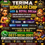thumbnail-terima-bongkar-chip-hdi-higgs-domino-island-dan-royal-dream-wa-0831-9834-2001-0