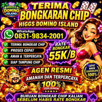 TERIMA BONGKAR CHIP HDI HIGGS DOMINO ISLAND JUAL BELI CHIP HDI WA 083198342001
