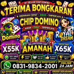 thumbnail-terima-bongkar-chip-hdi-higgs-domino-island-dan-royal-dream-wa-0831-9834-2001-0