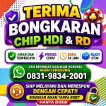 thumbnail-terima-bongkar-chip-hdi-higgs-domino-island-dan-royal-dream-wa-0831-9834-2001-0
