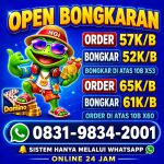 thumbnail-khusus-terima-bongkar-chip-domino-island-higgs-buka-24jam-wa0831-9834-2001-0
