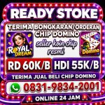 thumbnail-terima-bongkar-chip-hdi-higgs-domino-island-dan-royal-dream-wa-0831-9834-2001-0