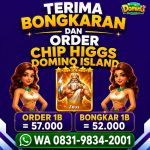 thumbnail-khusus-terima-bongkar-chip-domino-island-higgs-buka-24jam-wa0831-9834-2001-0