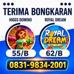 thumbnail-terima-bongkar-chip-hdi-higgs-domino-island-dan-royal-dream-wa-0831-9834-2001-0