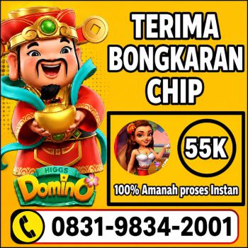 TERIMA BONGKAR CHIP HDI HIGGS DOMINO ISLAND JUAL BELI CHIP HDI WA 083198342001