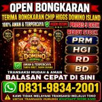 thumbnail-terima-bongkar-chip-hdi-higgs-domino-island-dan-royal-dream-wa-0831-9834-2001-0