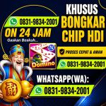 thumbnail-khusus-terima-bongkar-chip-domino-island-higgs-buka-24jam-wa0831-9834-2001-0