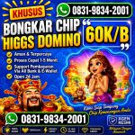 thumbnail-khusus-terima-bongkar-chip-domino-island-higgs-buka-24jam-wa0831-9834-2001-0