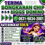 thumbnail-terima-bongkar-chip-hdi-higgs-domino-island-jual-beli-chip-hdi-wa-083198342001-0
