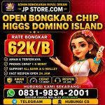 thumbnail-khusus-terima-bongkar-chip-domino-island-higgs-buka-24jam-wa0831-9834-2001-0