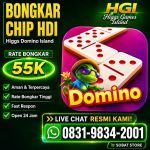 thumbnail-khusus-terima-bongkar-chip-domino-island-higgs-buka-24jam-wa0831-9834-2001-0