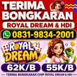 thumbnail-terima-bongkar-chip-hdi-higgs-domino-island-dan-royal-dream-wa-0831-9834-2001-0