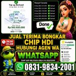 thumbnail-khusus-terima-bongkar-chip-domino-island-higgs-buka-24jam-wa0831-9834-2001-0