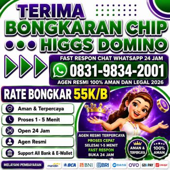 TERIMA BONGKAR CHIP HDI HIGGS DOMINO ISLAND JUAL BELI CHIP HDI WA 083198342001