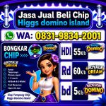 thumbnail-terima-bongkar-chip-hdi-higgs-domino-island-dan-royal-dream-wa-0831-9834-2001-0