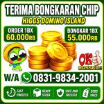 thumbnail-khusus-terima-bongkar-chip-domino-island-higgs-buka-24jam-wa0831-9834-2001-0