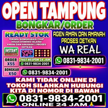 TERIMA BONGKAR CHIP HDI HIGGS DOMINO ISLAND JUAL BELI CHIP HDI WA 083198342001