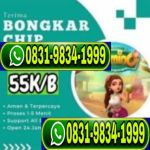 thumbnail-terima-bongkar-domino-island-chip-higgs-wa-083198341999-0