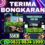 thumbnail-terima-bongkar-domino-island-higgs-wa-083198341999-0
