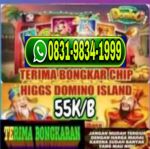 thumbnail-terima-bongkar-domino-higgs-hdi-wa-083198341999-0