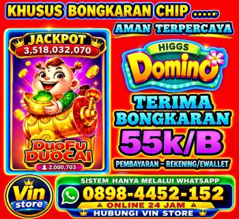 Terima Bongkar chip HIGGS domino Aman Terpercaya