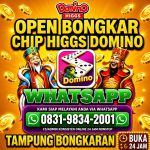thumbnail-khusus-terima-bongkar-chip-domino-island-higgs-buka-24jam-wa0831-9834-2001-0