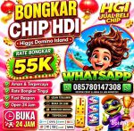 thumbnail-agen-resmi-terima-bongkar-higgs-domino-island-terpercaya-0