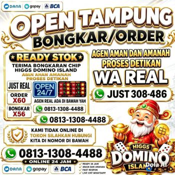 AGEN RESMI TERIMA BONGKARAN CHIP HIGGS DOMINO HGI TERPERCAYA