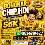 thumbnail-permata-shop-hgi-agen-terima-bongkar-chip-domino-island-higgs-buka-24jam-0
