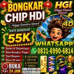 thumbnail-permata-shop-hgi-agen-terima-bongkar-chip-domino-island-higgs-buka-24jam-0