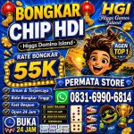 thumbnail-permata-shop-hgi-agen-terima-bongkar-chip-domino-island-higgs-buka-24jam-0