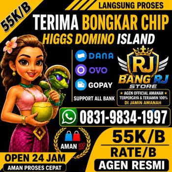 TERIMA BONGKAR CHIP HDI HIGGS DOMINO ISLAND JUAL BELI CHIP HDI WA 083198341997