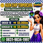 thumbnail-terima-bongkar-chip-hdi-higgs-domino-island-jual-beli-chip-hdi-wa-083198341997-0