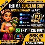 thumbnail-terima-bongkar-chip-hdi-higgs-domino-island-jual-beli-chip-hdi-wa-083198341997-0