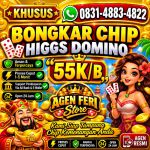 thumbnail-khusus-terima-bongkar-chip-domino-island-higgs-buka-24jam-wa0831-4883-4822-0