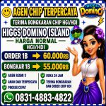 thumbnail-terima-bongkar-chip-hdi-higgs-domino-island-jual-beli-chip-hdi-wa-083148834822-0