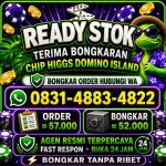 thumbnail-terima-bongkar-chip-hdi-higgs-domino-island-jual-beli-chip-hdi-wa-083148834822-0