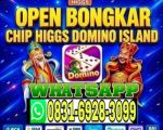 thumbnail-khusus-terima-bongkar-chip-domino-island-higgs-buka-24jam-wa0831-6928-3099-0
