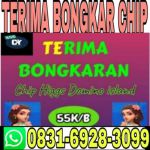 thumbnail-khusus-terima-bongkar-chip-domino-island-higgs-buka-24jam-wa0831-6928-3099-0