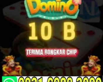 KHUSUS TERIMA BONGKAR CHIP DOMINO ISLAND HIGGS 🔥 BUKA 24JAM  WA:0831-6928-3099
