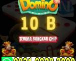 thumbnail-khusus-terima-bongkar-chip-domino-island-higgs-buka-24jam-wa0831-6928-3099-0
