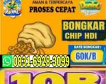 thumbnail-khusus-terima-bongkar-chip-domino-island-higgs-buka-24jam-wa0831-6928-3099-0