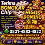 thumbnail-terima-bongkaran-chip-higgs-domino-island-amanah-dan-terpercaya-wa-083148834822-0