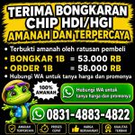 thumbnail-khusus-terima-bongkar-chip-domino-island-higgs-buka-24jam-wa0831-4883-4822-0