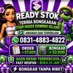 thumbnail-terima-bongkar-chip-hdi-higgs-domino-island-jual-beli-chip-hdi-wa-083148834822-0